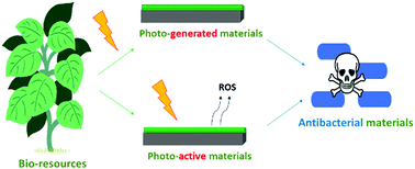 Graphical abstract: Contributions of photochemistry to bio-based antibacterial polymer materials
