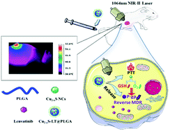 Graphical abstract: Lenvatinib and Cu2−xS nanocrystals co-encapsulated in poly(d,l-lactide-co-glycolide) for synergistic chemo-photothermal therapy against advanced hepatocellular carcinoma