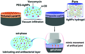 Graphical abstract: Supramolecular hydrogel-infiltrated ceramics composite coating with combined antibacterial and self-lubricating performance