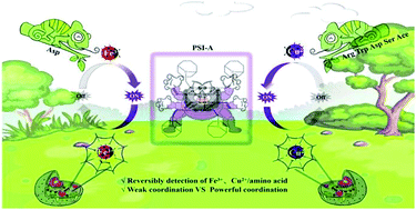 Graphical abstract: The diversity of the coordination bond generated a POSS-based fluorescent probe for the reversible detection of Cu(ii), Fe(iii) and amino acids