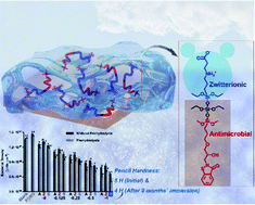Graphical abstract: Sol–gel-derived hard coatings from tetraethoxysilane and organoalkoxysilanes bearing zwitterionic and isothiazolinone groups and their antifouling behaviors