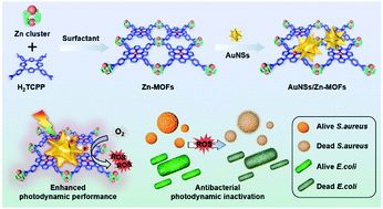 Graphical abstract: Plasmon induced dual excited synergistic effect in Au/metal–organic frameworks composite for enhanced antibacterial therapy