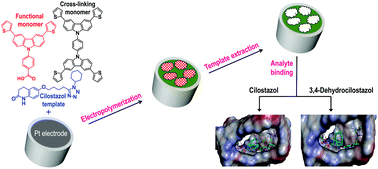 Graphical abstract: Cilostazol-imprinted polymer film-coated electrode as an electrochemical chemosensor for selective determination of cilostazol and its active primary metabolite
