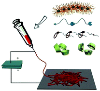 Graphical abstract: Recent advances in electrospinning supramolecular systems
