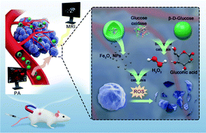 Graphical abstract: Dual-imaging magnetic nanocatalysis based on Fenton-like reaction for tumor therapy