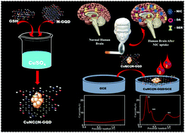 Graphical abstract: A highly stable copper nano cluster on nitrogen-doped graphene quantum dots for the simultaneous electrochemical sensing of dopamine, serotonin, and nicotine: a possible addiction scrutinizing strategy
