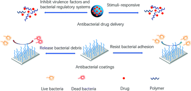 Graphical abstract: Versatile polymer-based strategies for antibacterial drug delivery systems and antibacterial coatings