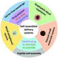Graphical abstract: Research progress on self-assembled nanodrug delivery systems