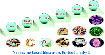 Graphical abstract: The recent development of nanozymes for food quality and safety detection