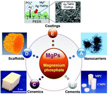 Graphical abstract: Biodegradable magnesium phosphates in biomedical applications