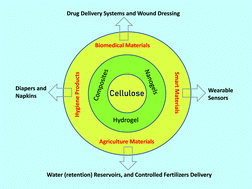 Graphical abstract: Cellulose: a fascinating biopolymer for hydrogel synthesis