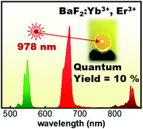 Graphical abstract: An up-conversion luminophore with high quantum yield and brightness based on BaF2:Yb3+,Er3+ single crystals