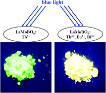 Graphical abstract: LaMoBO6:Tb3+,Eu3+/Sm3+,Bi3+ yellow phosphors with exceptionally high quantum yields that can be excited by blue light
