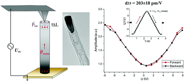 Graphical abstract: Anomalous piezoelectricity and conductivity in aligned carbon nanotubes