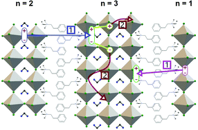 Graphical abstract: Energy transfer in (PEA)2FAn−1PbnBr3n+1 quasi-2D perovskites