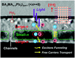 Graphical abstract: A sandwich-like structural model revealed for quasi-2D perovskite films