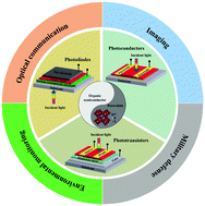 Graphical abstract: A review on solution-processed perovskite/organic hybrid photodetectors