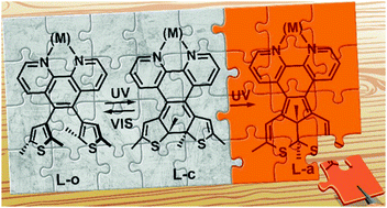 Graphical abstract: One-way photoisomerization of ligands for permanent switching of metal complexes
