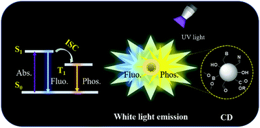 Graphical abstract: Achieving 46% efficient white-light emissive carbon dot-based materials by enhancing phosphorescence for single-component white-light-emitting diodes