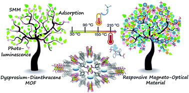Graphical abstract: Dysprosium–dianthracene framework showing thermo-responsive magnetic and luminescence properties