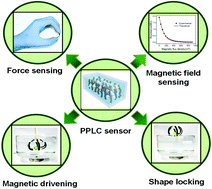Graphical abstract: Triple-shape memory, magneto-response, and piezo-resistive flexible composites: multiple-sensing and switchable actuating