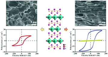 Graphical abstract: Bi2WO6 lead-free ferroelectrics: microstructure design, polar behavior and photovoltaic performance