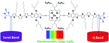 Graphical abstract: Panchromatic terthiophenyl-benzodithiophene conjugated porphyrin donor for efficient organic solar cells