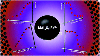 Graphical abstract: From quencher to potent activator – Multimodal luminescence thermometry with Fe3+ in the oxides MAl4O7 (M = Ca, Sr, Ba)