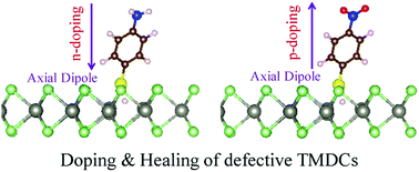Graphical abstract: Combined healing and doping of transition metal dichalcogenides through molecular functionalization