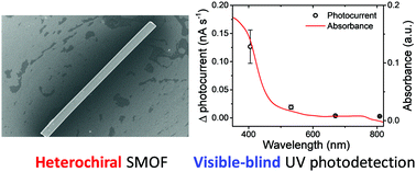 Graphical abstract: Micro-/nano-sized multifunctional heterochiral metal–organic frameworks for high-performance visible–blind UV photodetectors