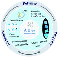 Graphical abstract: Aggregation-induced emission for the visualization of the structure and properties of polymers