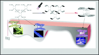 Graphical abstract: Manipulating crystals through photoexcitation-induced molecular realignment