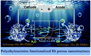 Graphical abstract: Self-assembly of functionalized Echinops-like Rh porous nanostructure electrocatalysts for highly efficient seawater splitting