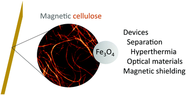 Graphical abstract: Magnetic cellulose: does extending cellulose versatility with magnetic functionality facilitate its use in devices?