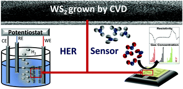 Graphical abstract: Sensing and electrocatalytic activity of tungsten disulphide thin films fabricated via metal–organic chemical vapour deposition