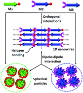 Graphical abstract: Stimuli-responsive luminescent supramolecular assemblies and co-assemblies through orthogonal dipole–dipole interactions and halogen bonding