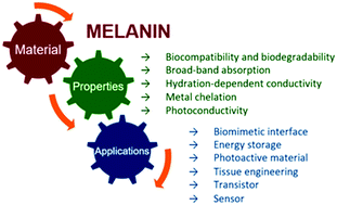 Graphical abstract: From nature to organic (bio)electronics: a review on melanin-inspired materials