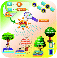 Graphical abstract: Peptide-based novel small molecules and polymers: unexplored optoelectronic materials
