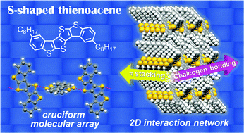 Graphical abstract: An S-shaped thienoacene semiconductor forming unique cruciform lamellar packing via a 2D interaction network of π-stacking and chalcogen bonding