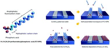 Graphical abstract: Achieving area-selective atomic layer deposition with fluorinated self-assembled monolayers