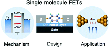 Graphical abstract: Recent progress in single-molecule transistors: their designs, mechanisms and applications