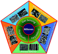 Graphical abstract: MXene-based gas sensors