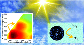 Graphical abstract: On the nature of solvothermally synthesized carbon nanodots