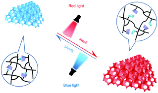 Graphical abstract: Photochromic supramolecular photonic crystals based on host–guest interactions