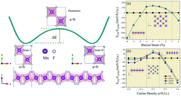 Graphical abstract: Predicting intrinsic antiferromagnetic and ferroelastic MnF4 monolayer with controllable magnetization