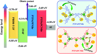 Graphical abstract: Quasi-three-dimensional self-doped conjugated polyelectrolytes based on a triphenylamine skeleton for non-fullerene organic solar cells