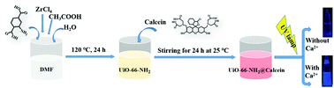 Graphical abstract: A calcein-modified Zr(iv)-based metal–organic framework as a visualized sensor for calcium ions
