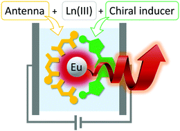 Graphical abstract: Modular chiral Eu(iii) complexes for efficient circularly polarized OLEDs