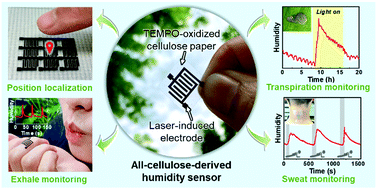 Graphical abstract: All-cellulose-derived humidity sensor prepared via direct laser writing of conductive and moisture-stable electrodes on TEMPO-oxidized cellulose paper