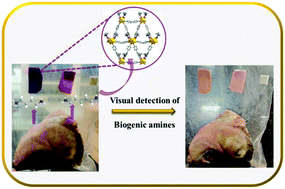 Graphical abstract: MOF sensors for food safety: ultralow detection of putrescine and cadaverine in protein rich foods